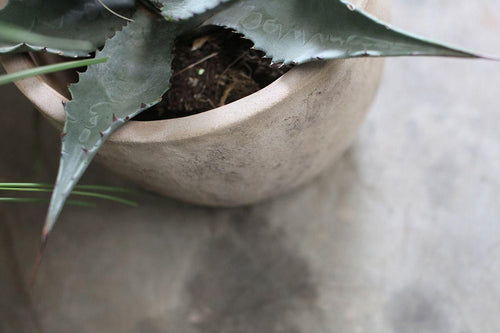 Affiti Clay Planter - Medium