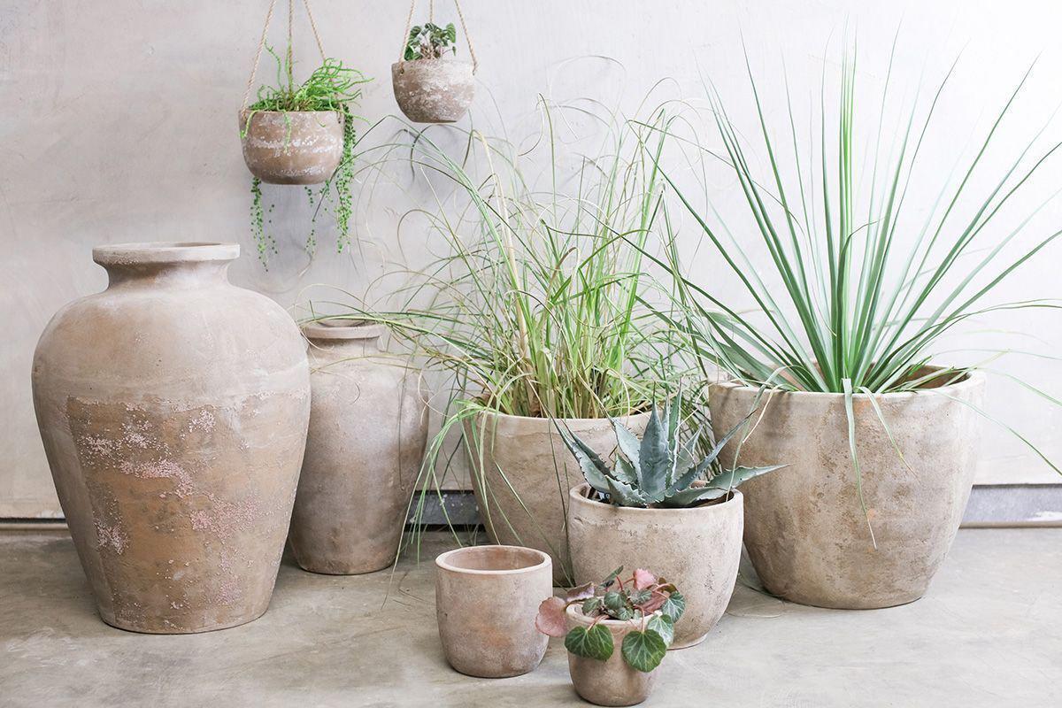 Affiti Clay Tapered Pot - Small