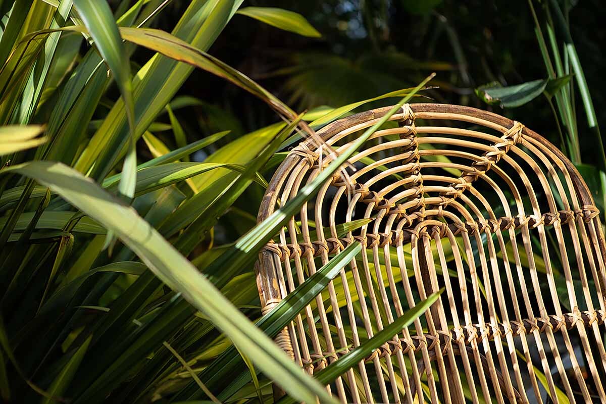 Arlia Rattan Lounger