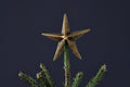 Bishakha Star Tree Topper