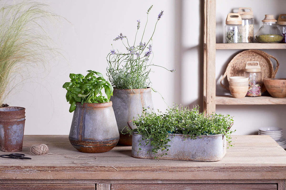 Mamba Outdoor Planter - Aged Zinc