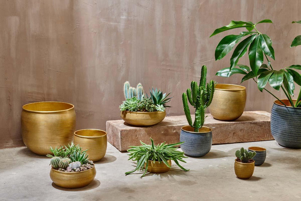 Tembesi Etched Planter - Antique Black & Brass