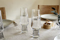 Visla Tall Glass - Clear (Set of 4)